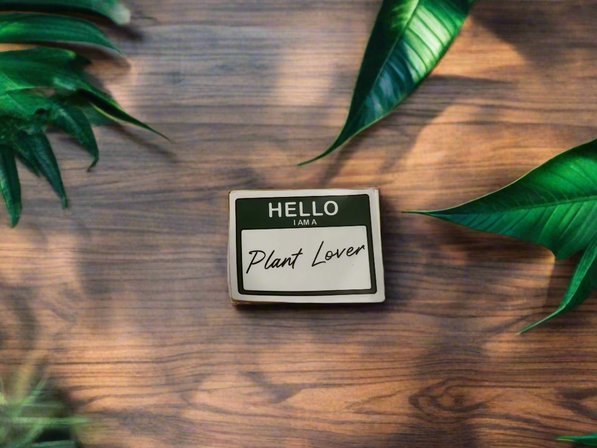 All in 1-Plant-Themed box